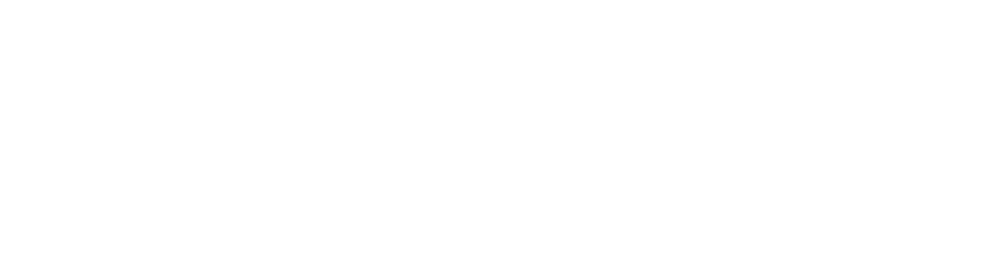 세종. 스노우클리닉