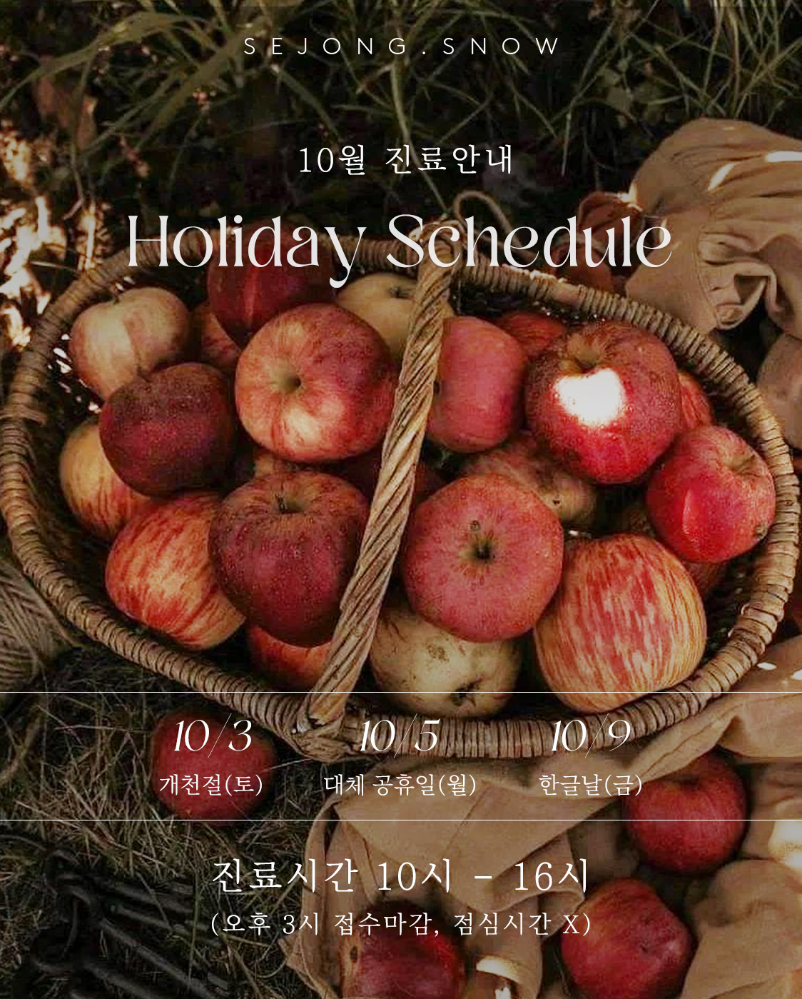 10월 진료안내